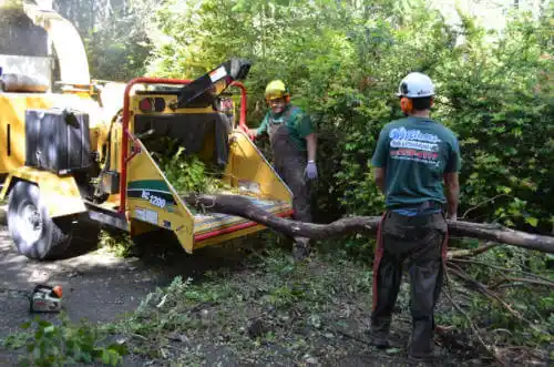 tree services Manokotak